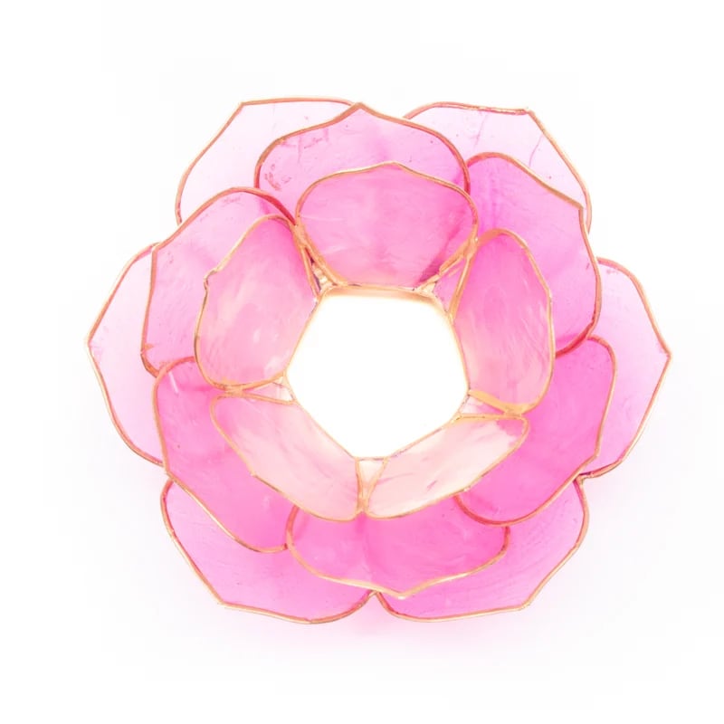 Petalo Loto luce atmosferica rosa bordo oro