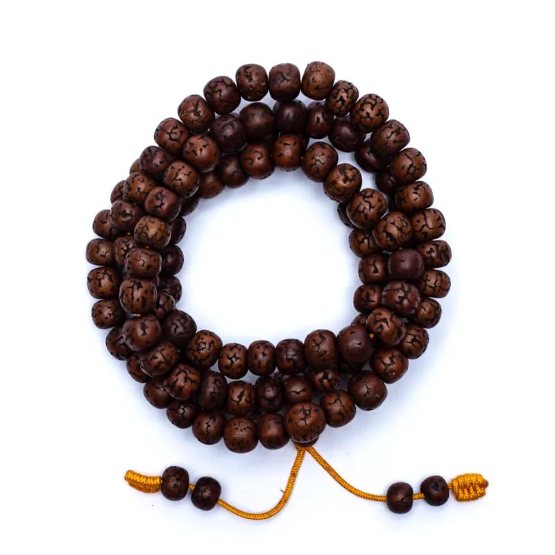 Mala Rudraksha 108 grani lucidati