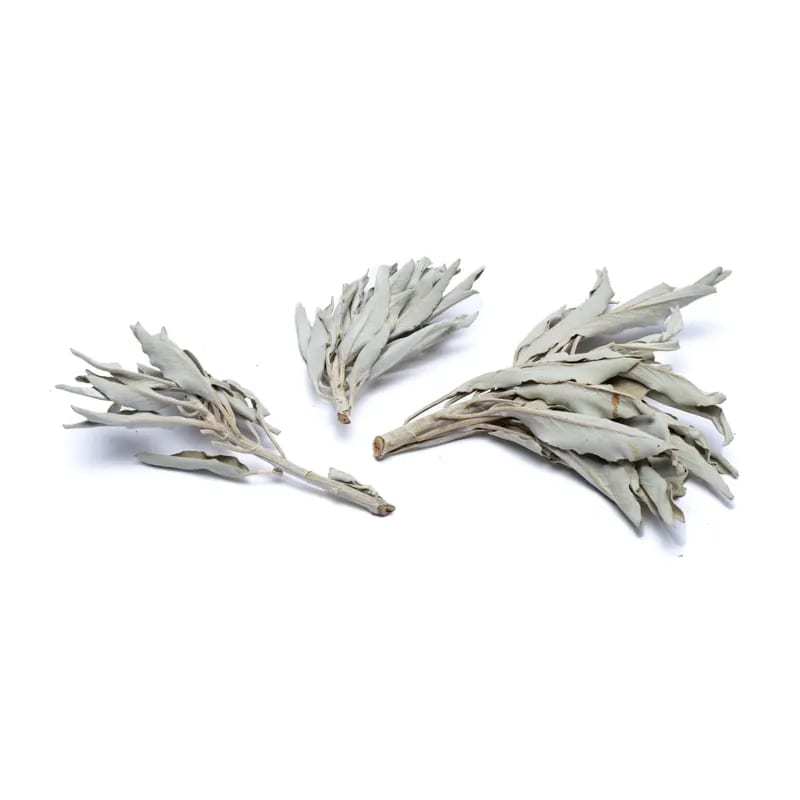 Incense White Sage clusters (Salvia Apiana)