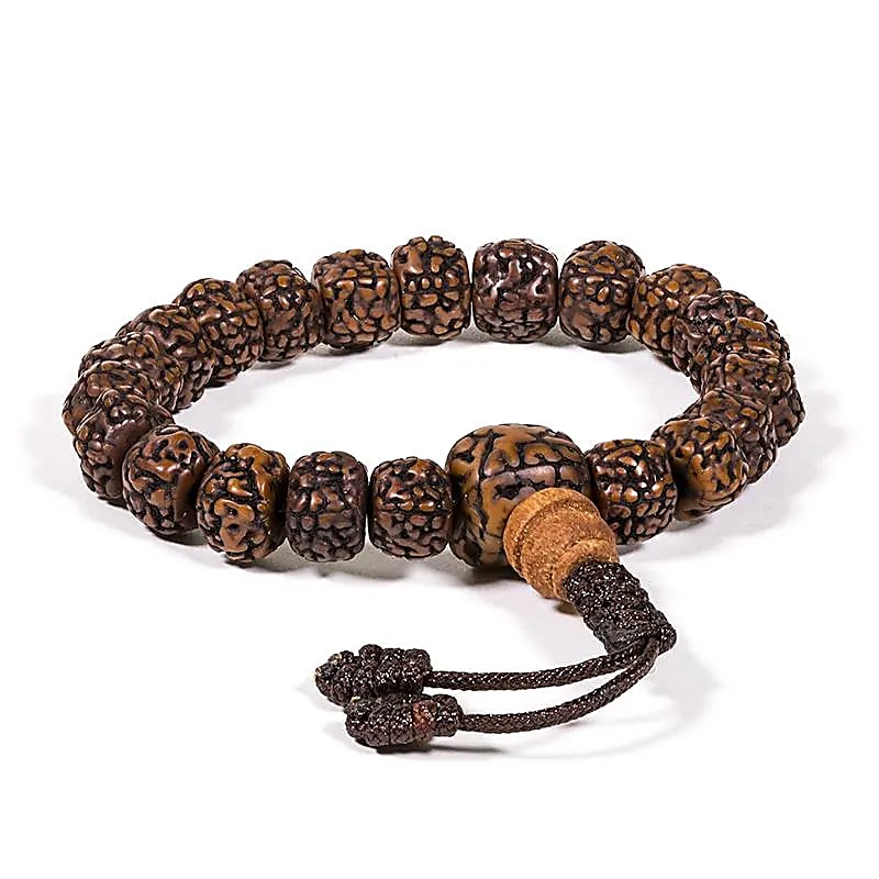 Mala/bracelet en Rudraksha 21 perles polies ajustable