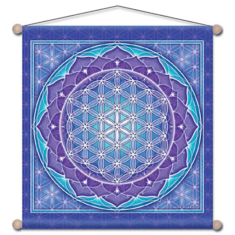 Meditatie banner Bloem des levens