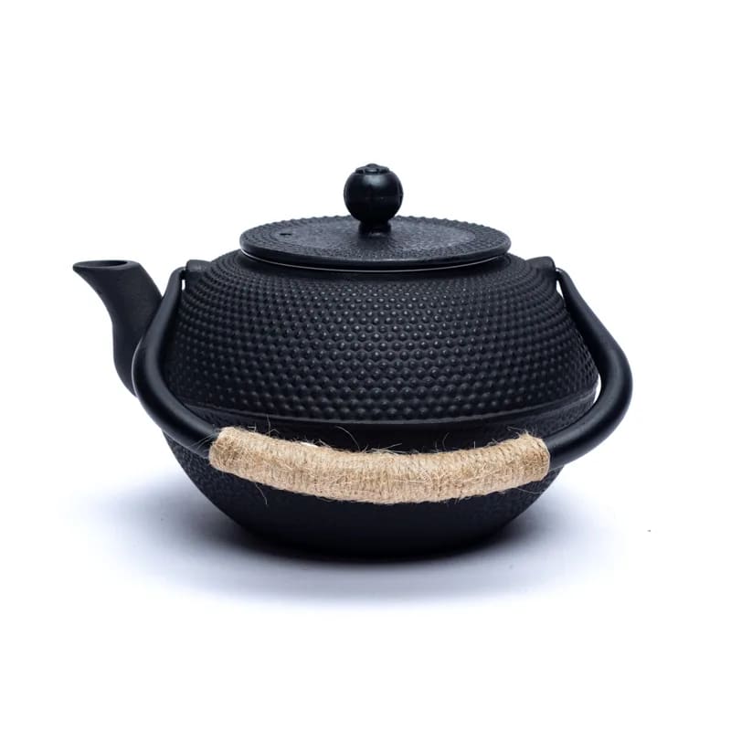 Tetsukyusu enameled 1,2 liter teapot black