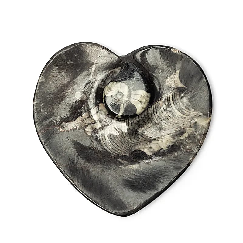 Heart-shaped marble plate with fossils