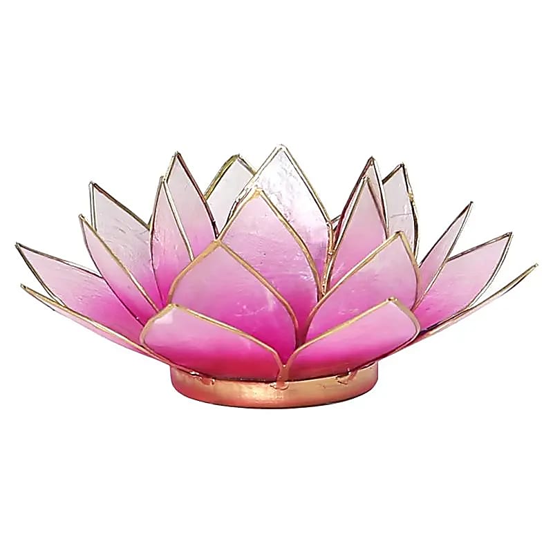 Loto illuminazione d'atmosfera rosa