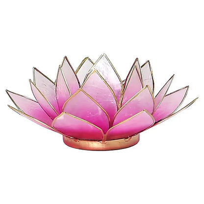 Loto illuminazione d'atmosfera rosa thumb