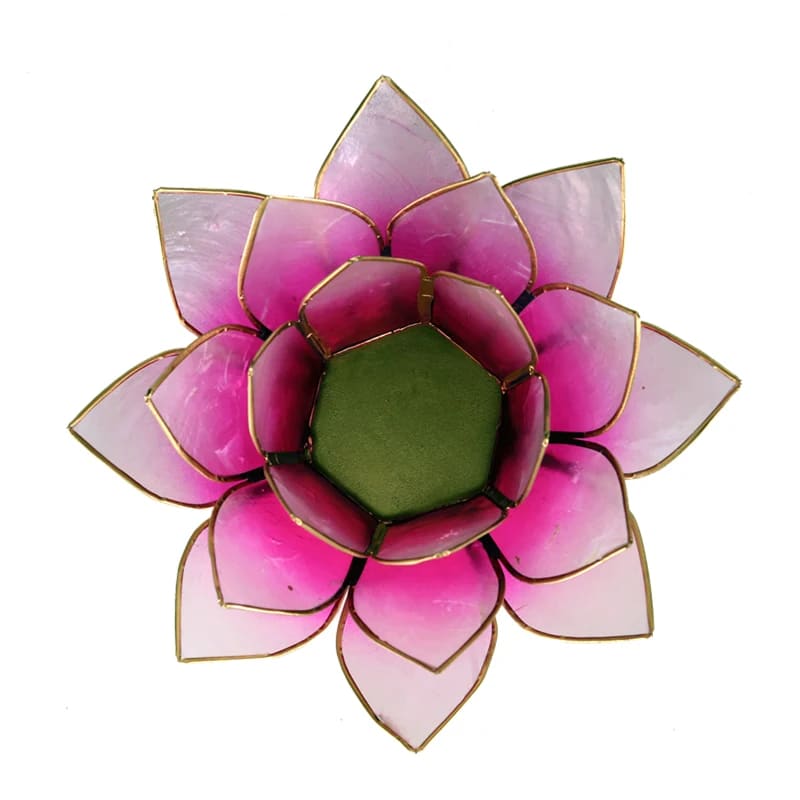 Loto illuminazione d'atmosfera rosa
