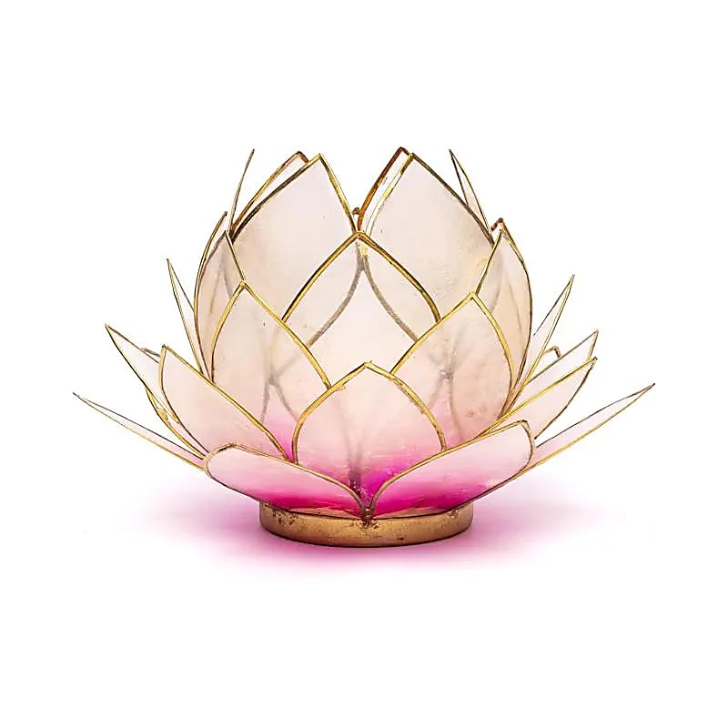 Lotus light pink/light pink gold trim large