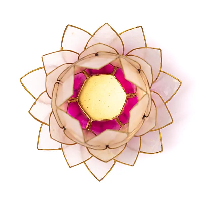 Lotus light pink/light pink gold trim large