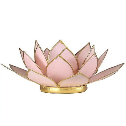 Lotus atmospheric light pastel pink gold trim thumb