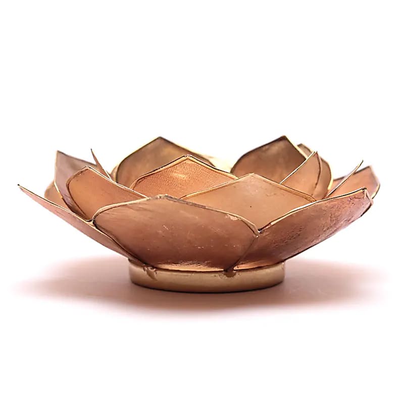 Petalo Loto luce atmosferica fumè/beige bordo oro