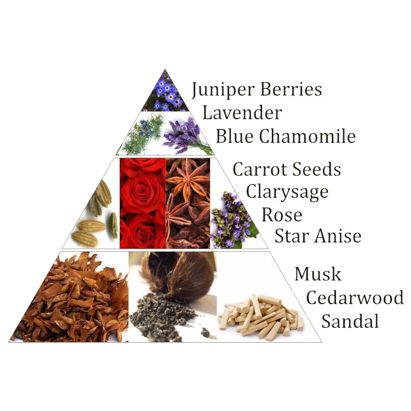 Buy Aromafume Chakra incense bricks 6th chakra
