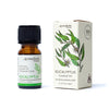 Aromafume olio essenziale Eucalipto
