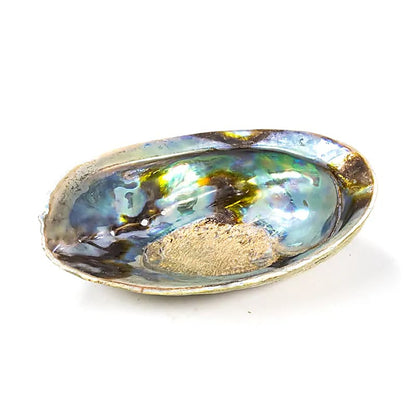 Regenbogen Abalone (Paua) Haliotis Iris thumb