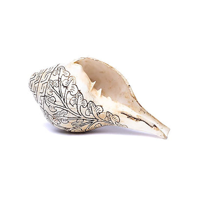 Ritual shell with Double Dorje Puja shell wholesale thumb