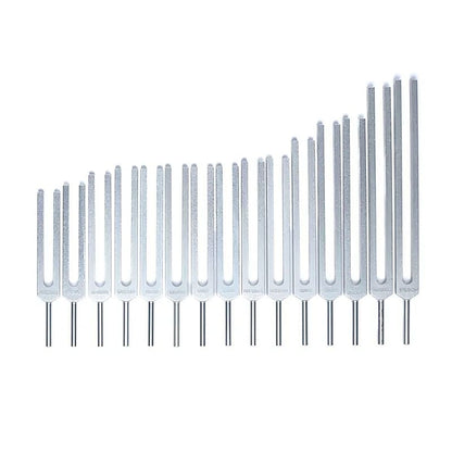 Stimmgabel-Set Menschliche Organe thumb