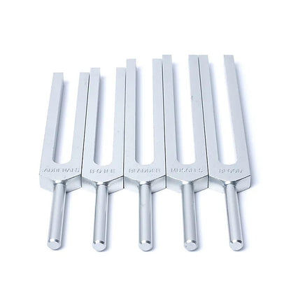Stimmgabel-Set Menschliche Organe kaufen thumb