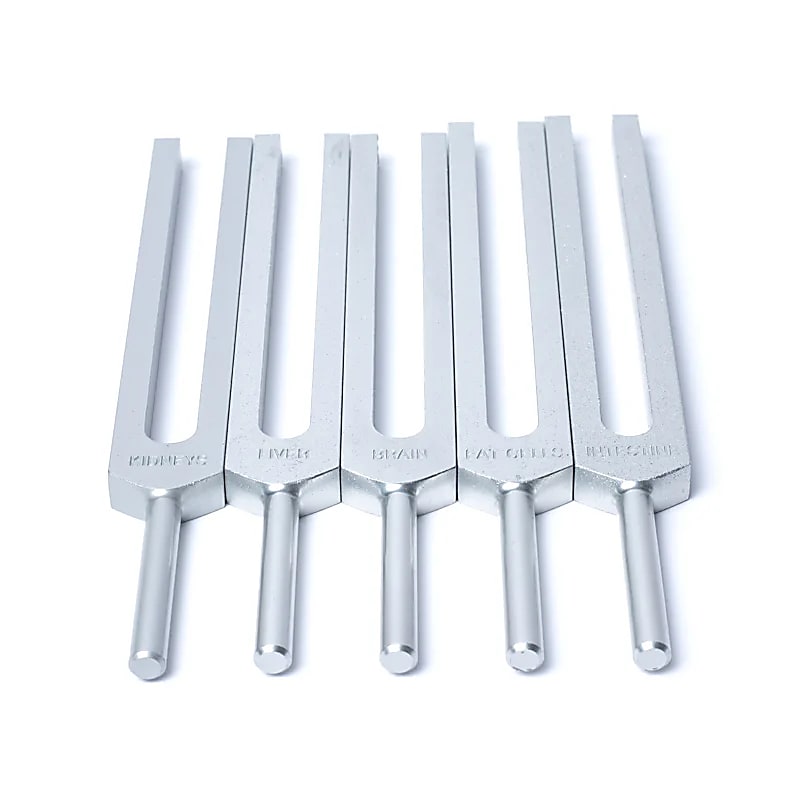 Stimmgabel-Set Menschliche Organe Aluminium