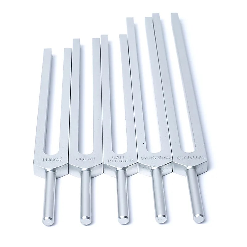 Stimmgabel-Set Menschliche Organe Silber