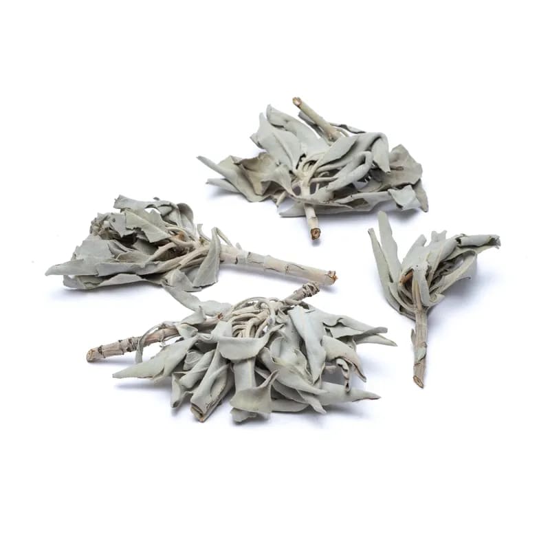 Incienso Salvia Blanca (Salvia Apiana) al por mayor