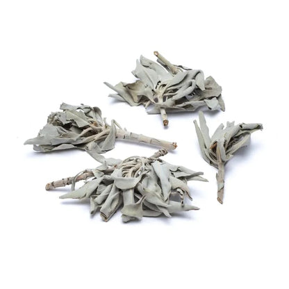 Incienso Salvia Blanca (Salvia Apiana) al por mayor thumb