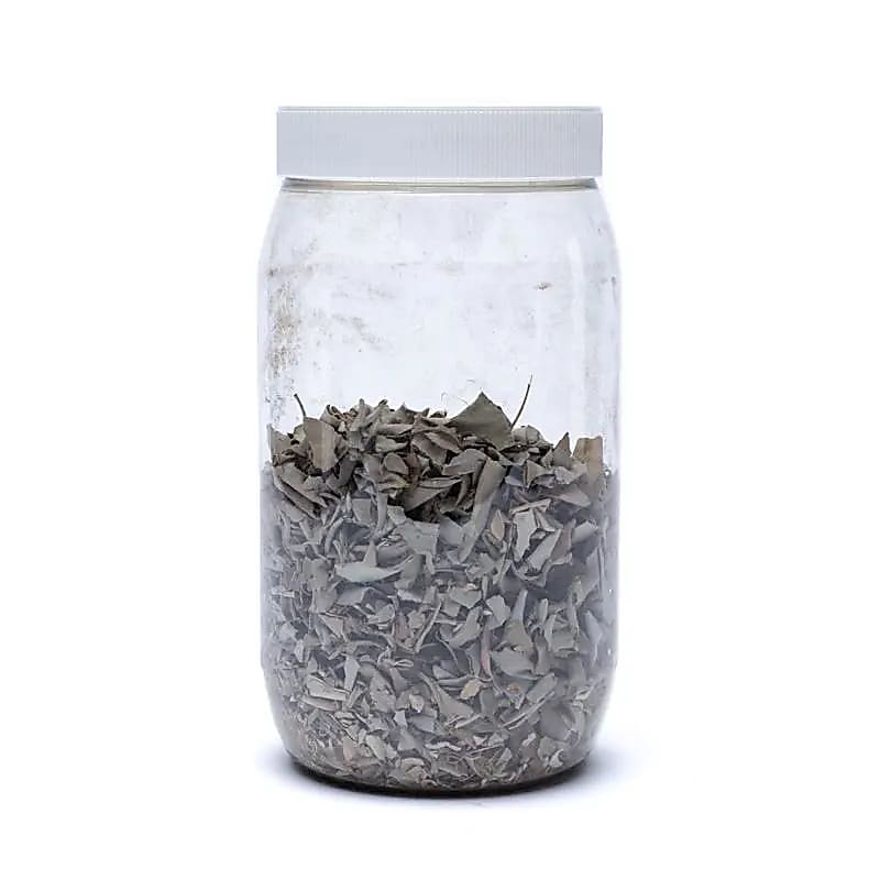 Räucherware Weißer Salbei (Salvia Apiana)