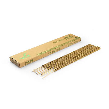 Ispalla incenso Palo Santo e ruta all’ingrosso thumb