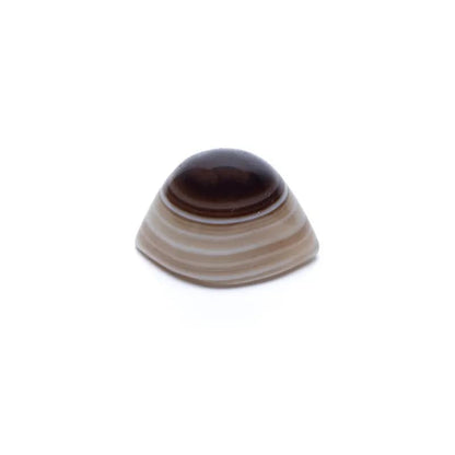 Oeil de Shiva Pierre de protection en agate naturelle de gros thumb