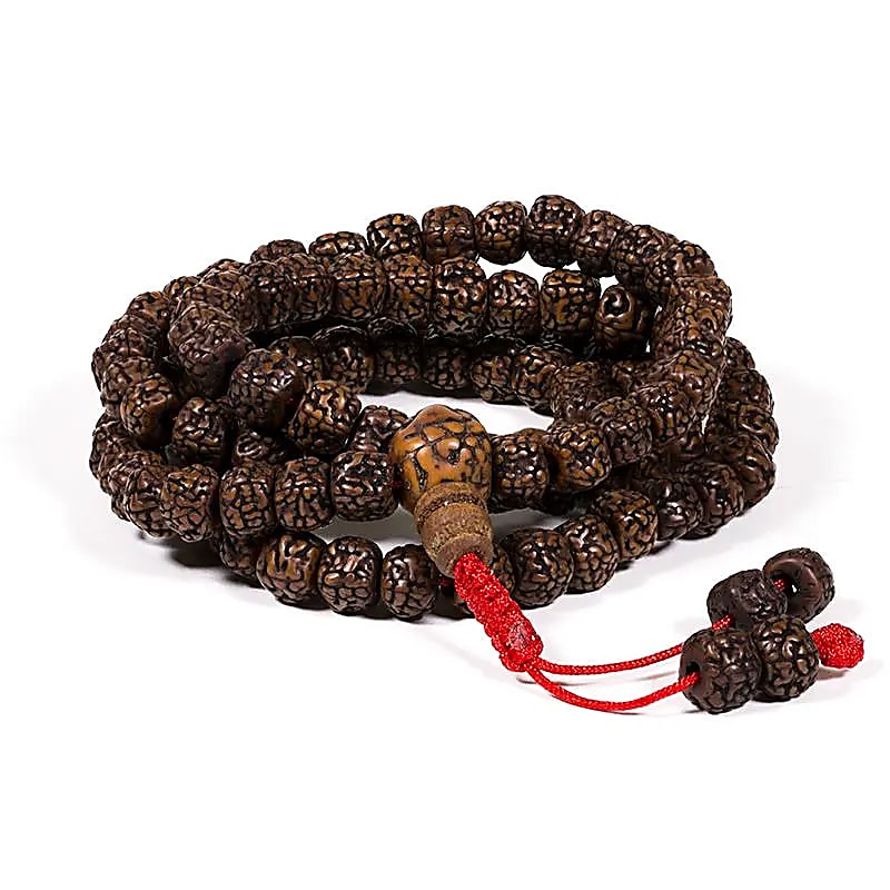 Mala gepolijste Rudraksha 108 kralen