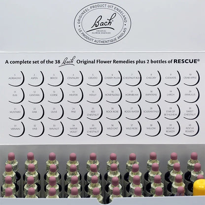Bach Flower Remedie set in kartonnen doos großhandel thumb