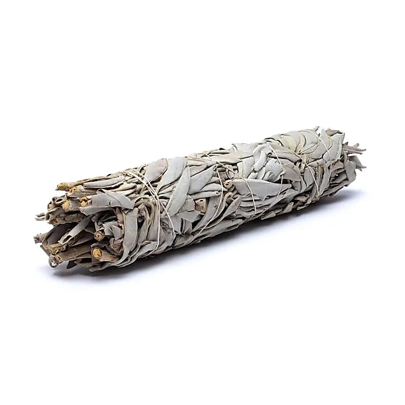 Salvia bianca Smudge L