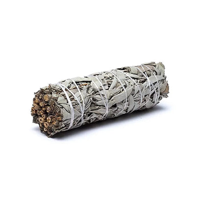 Salvia bianca Smudge M thumb