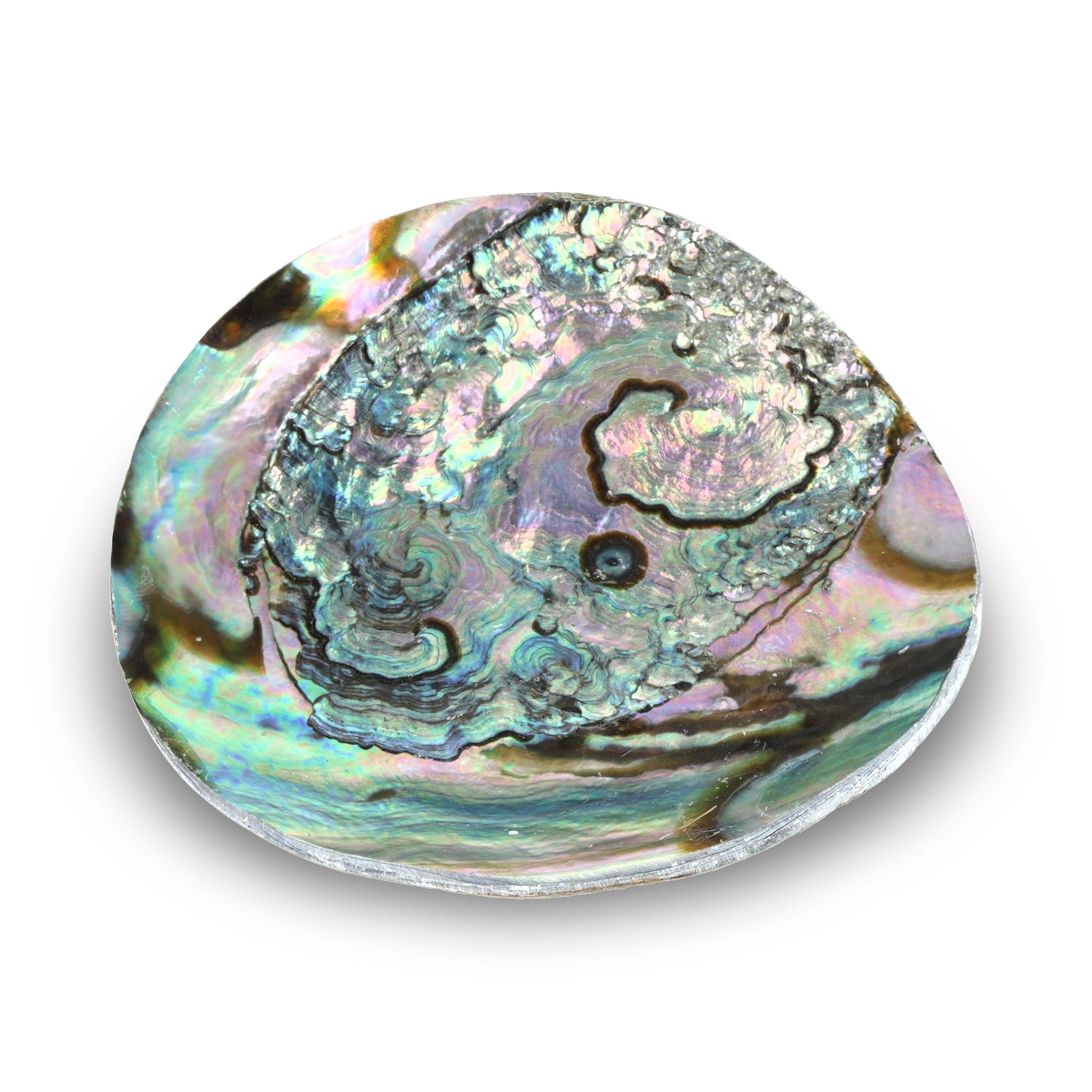 Schmuckschale Abalone