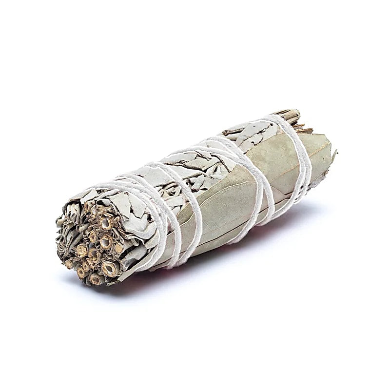 Weißer Salbei Smudge mit Eukalyptus S 2er-Set