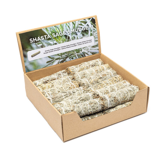 Shasta salie smudge S per 24 in display
