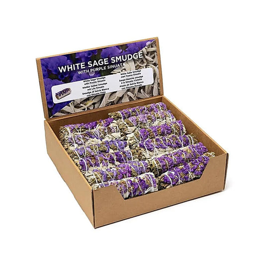 Witte salie smudge met paarse sinuata per 24 in display