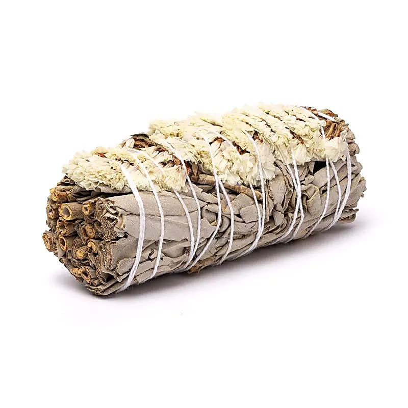 White Sage smudge with white sinuata per 24 in display wholesale