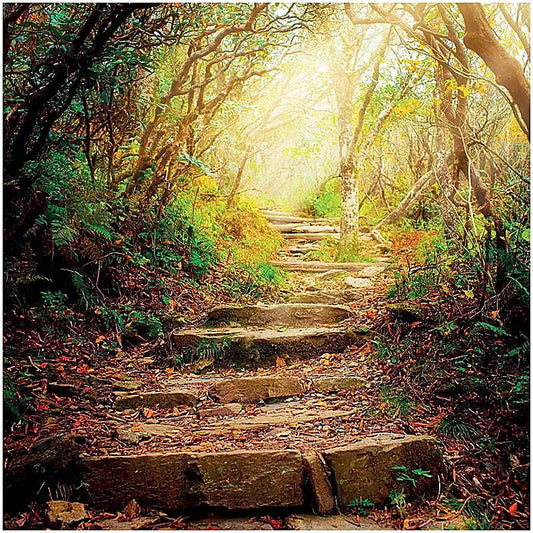 Doble tarjeta de felicitación The road ahead