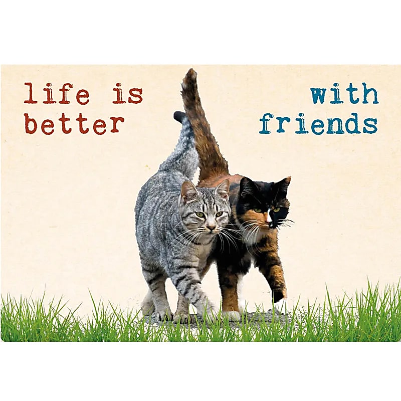 Carte postale avec texte Life is better..