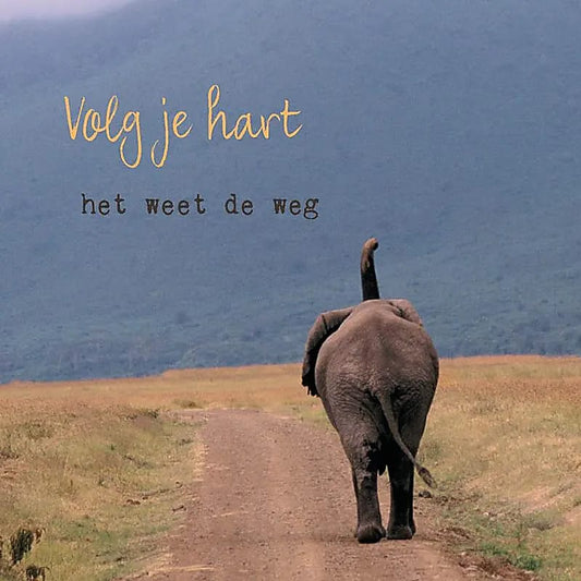 Dubbele kaarten Volg je hart..