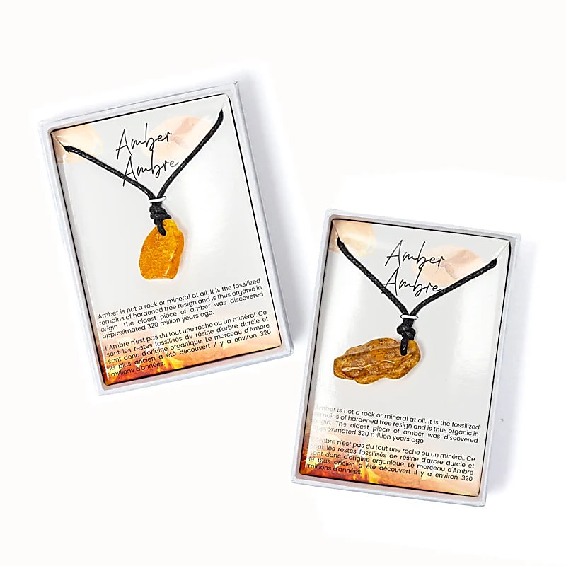 Pendentifs en ambre 12 pièces dans une boîte présentoir