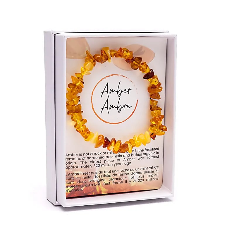 Bracelets d'ambre, 12 pièces, dans un coffret présentoir
