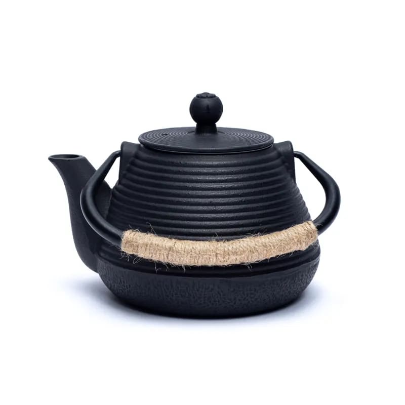 Tetsukyusu geëmailleerde 1,0 liter theepot zwart Kopen