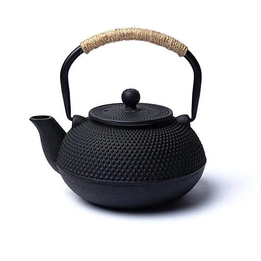 Tetsubin gietijzeren 0,6 liter theepot zwart (zonder coating)