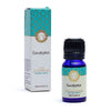 Eucalyptus essential oil Song of India