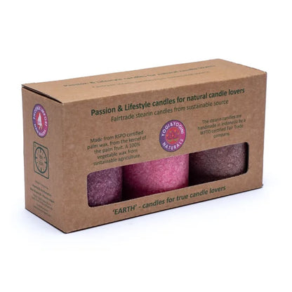 Buy Sustainable stearin candles x 3 EARTH thumb