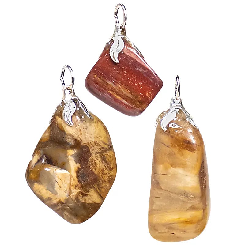 Pendentif pierre gemme Bois pétrifié