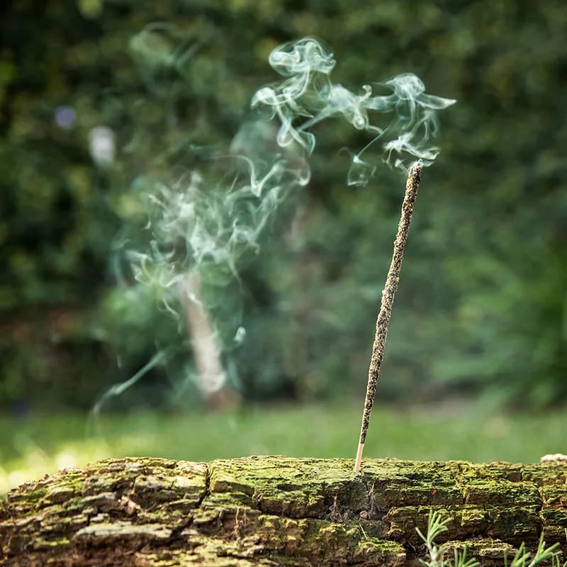 Acquistare Sagrada Madre incenso naturale Ruta, Rosmarino e Incenso