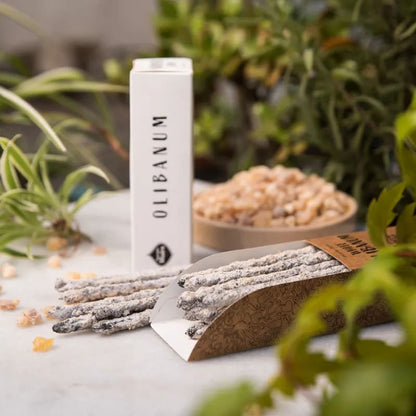 Sagrada Madre Herbal Räucherwerk Weißes Olibanum kaufen thumb
