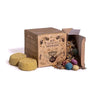 Sagrada Madre incense kit small smudge Sacred Smoke 7 Energies