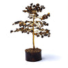 Albero di occhio di tigre